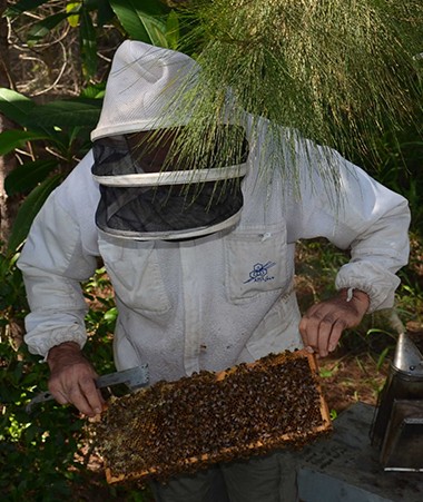 Avant de s'entretenir avec les apiculteurs, Nicolas Metzdorf a effectué la visite guidée d'un rucher.