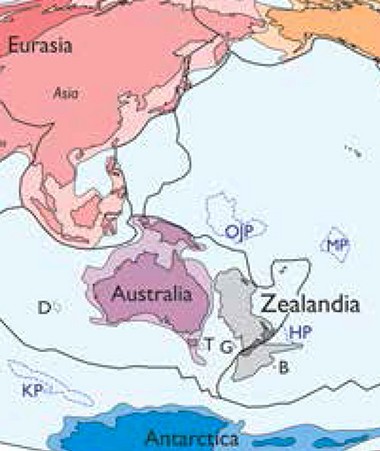 Le continent Zealandia, en grande partie immergé entre la Nouvelle-Calédonie et la Nouvelle-Zélande, est deux fois plus petit que l'Australie.