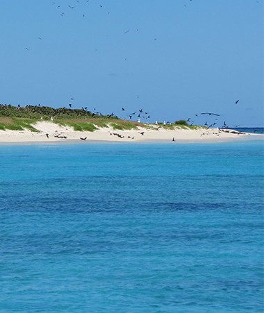 Faisant partie des 5 km2 de terres émergées du parc de la mer de Corail, l’îlot Leleizour est déjà classé en réserve intégrale.