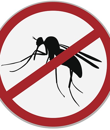 Nouveaux moustiques, réunion publique à La Tontouta