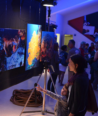 L’exposition « Immersion inédite au cœur des atolls d’Entrecasteaux », situés dans le Parc naturel de la mer de Corail, est visible toute la semaine au Rex. 