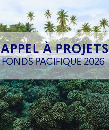 fond_pacifique_2026_copy.jpg