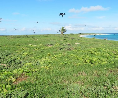 Créé en avril 2014, le Parc naturel de la mer de Corail s’étend sur 1,3 million de km2 et comprend notamment les récifs d’Entrecasteaux avec l’îlot Le Leizour (photo ci-dessus).