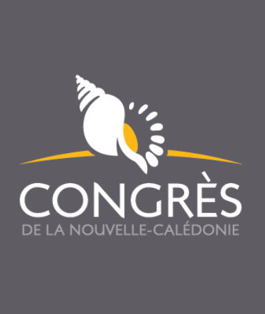 Election Congrès 2026.jpg