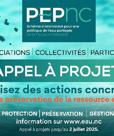 image pep 2025
