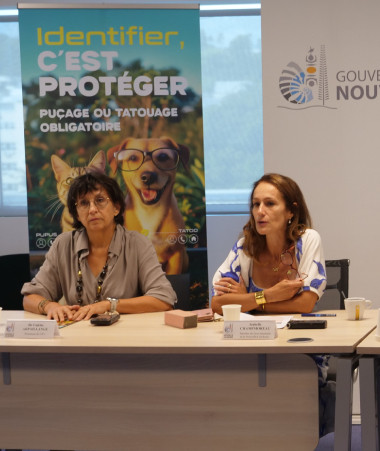 Isabelle Champmoreau entourée de Colette Arpaillange, vétérinaire présidente du groupement technique vétérinaire (GTV NC), de Thibaut Raffard, chargé de mission au gouvernement, de Coralie Lussiez, cheffe du SIVAP (DAVAR) et de Fanny Jugy (SIVAP/DAVAR).