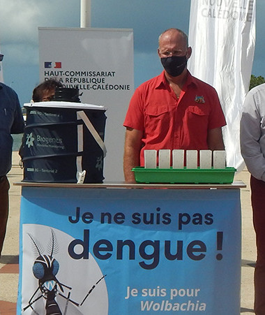 Lâché de moustiques Wolbachia sur la commune du Mont-Dore en présence de Nadège Rossi, chef de projet au World Mosquito Program (WMP), Eddie Lecourieux, maire de la ville et Grégory Lecru, commissaire délégué de la République pour la Province Sud.