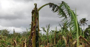 Pour venir en aide aux agriculteurs sinistrés par les deux derniers événements climatiques, le gouvernement a rapidement mis en œuvre un plan de soutien afin qu’ils puissent bénéficier des premières indemnisations. 