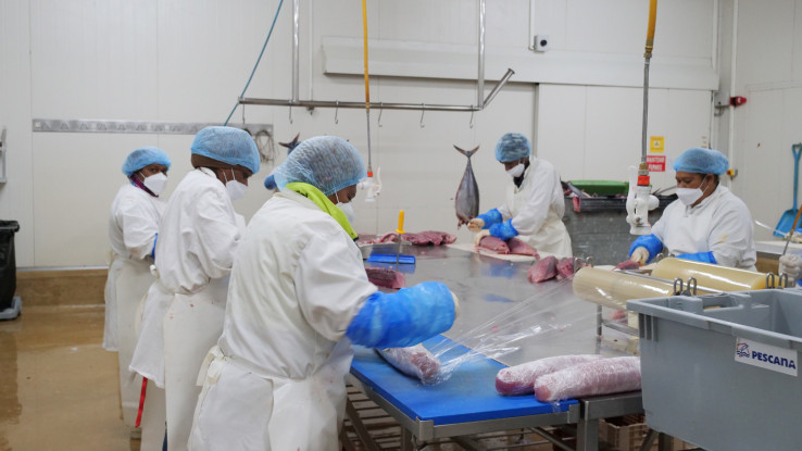  La pêcherie Pescana labellisée « Pêche responsable » emploie 40 personnes.