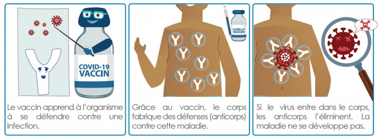 pourquoi se faire vacciner gouvernement de la nouvelle caledonie