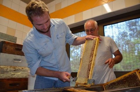 Nicolas Metzdorf a récolté du miel sous l'œil vigilant de l'apiculteur André Saligné.