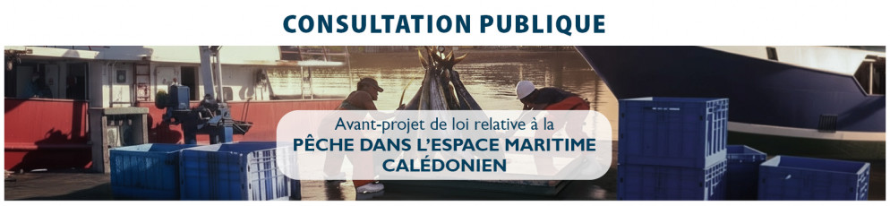bandeau_consultation_publique_peche_-_v2.jpg