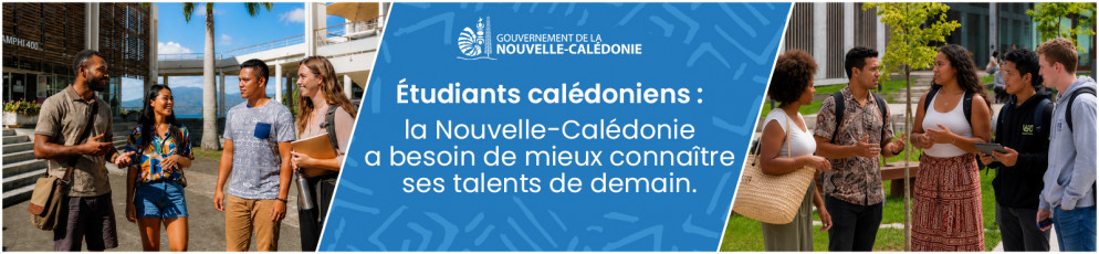 carrousel_recensement_etudiants_copy.jpg