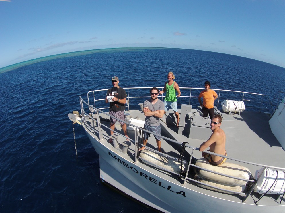 Les récifs d'Entrecasteaux, au cours de la première campagne Apex, en juillet 2015. © William Robbins de Wildlife Marine
