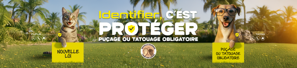 gouv-sitecover-generique.png