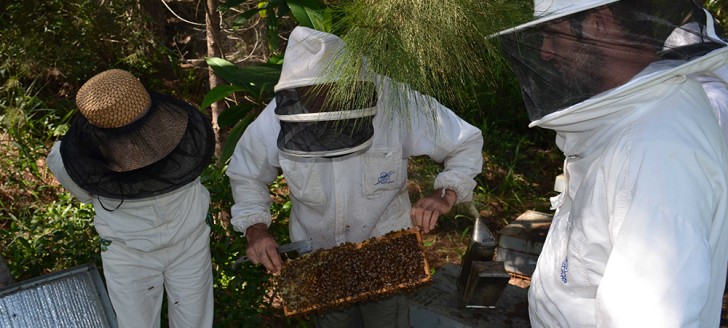 Avant de s'entretenir avec les apiculteurs, Nicolas Metzdorf a effectué la visite guidée d'un rucher.