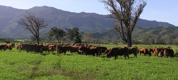 Le bail rural est un outil qui encadre et sécurise les relations propriétaires/locataires et ouvre droit à des mesures fiscales incitatives pour les deux parties.