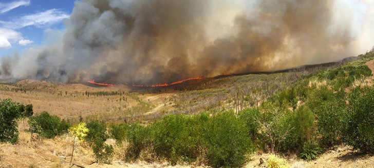 1 200 hectares brûlés dans la matinée du jeudi 19 octobre, du côté de Bangou (Païta).