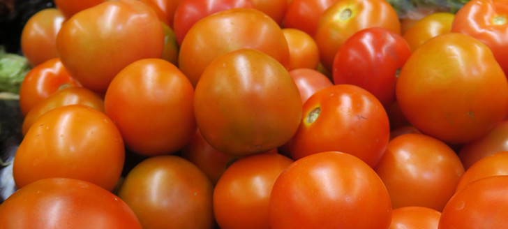 Le prix des tomates en magasin sera plafonné à 800 F/kg, 850 F pour la salade.