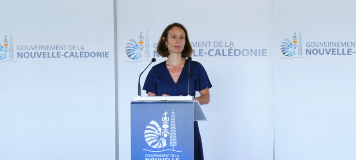 Isabelle Champmoreau a livré le 16 juin les derniers chiffres sur les rapatriement des étudiants. Isabelle Champmoreau a livré le 16 juin les derniers chiffres sur les rapatriement des étudiants.