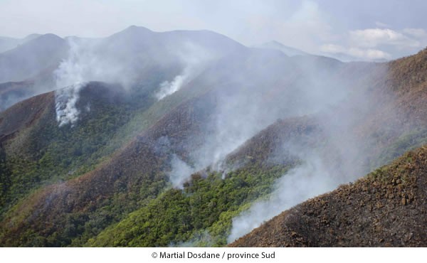 Déjà 4 000 hectares partis en fumée
