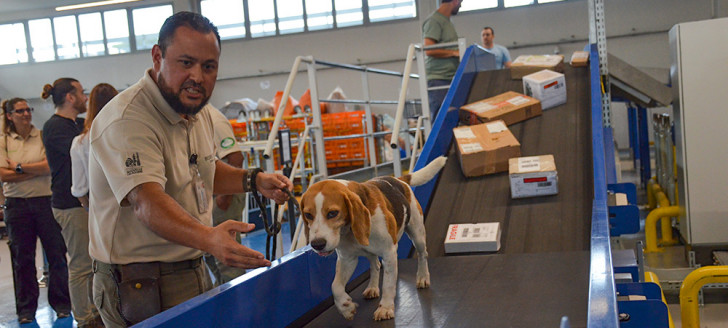 Les maîtres-chiens et les chiens du Sivap interviennent au centre de tri de l’OPT du lundi au vendredi pour inspecter le courrier et les colis.