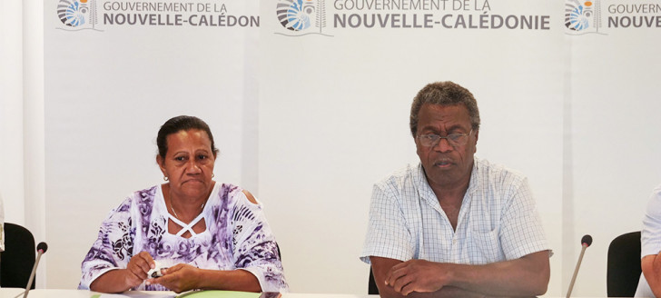 Les membres du gouvernement Valentine Eurisouké et Jean-Pierre Djaïwé ont présenté le parcours santé Do Kamo, mardi 10 novembre au gouvernement.