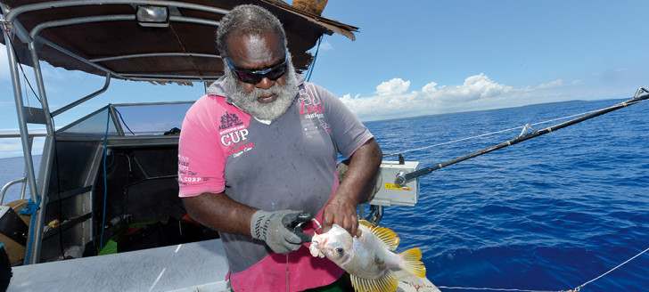 La filière de la pêche côtière contribue à l’autosuffisance alimentaire du pays et au maintien du tissu économique dans les trois provinces. Photo Agence rurale – Crédit photo : Eric Aubry 