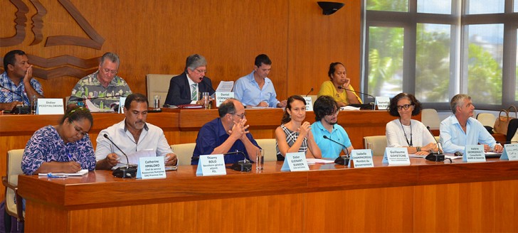 Isabelle Champmoreau, membre du gouvernement en charge de la solidarité et du handicap, aux côtés de membres du CESE.