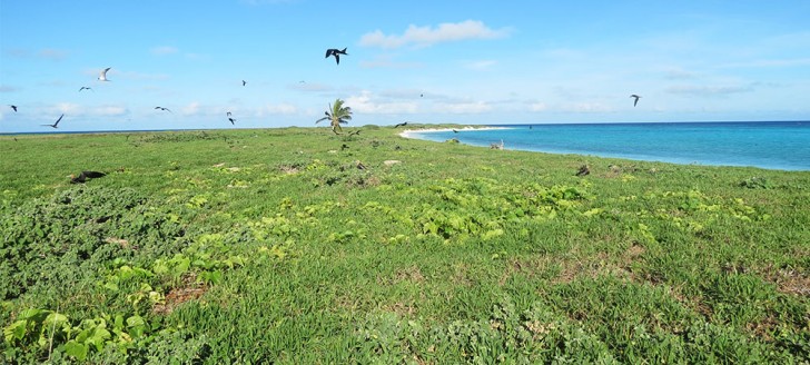Créé en avril 2014, le Parc naturel de la mer de Corail s’étend sur 1,3 million de km2 et comprend notamment les récifs d’Entrecasteaux avec l’îlot Le Leizour (photo ci-dessus).