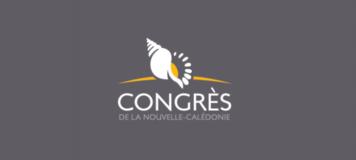 Election Congrès 2026.jpg
