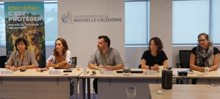 Isabelle Champmoreau entourée de Colette Arpaillange, vétérinaire présidente du groupement technique vétérinaire (GTV NC), de Thibaut Raffard, chargé de mission au gouvernement, de Coralie Lussiez, cheffe du SIVAP (DAVAR) et de Fanny Jugy (SIVAP/DAVAR).