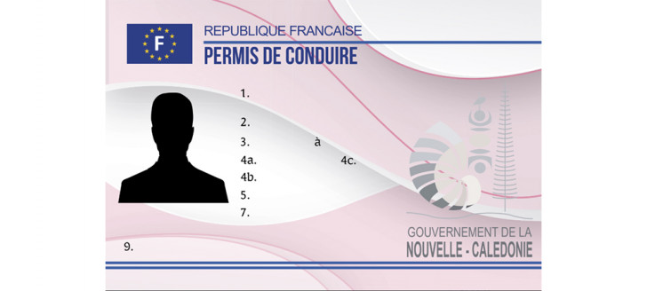 Modèle du nouveau permis de conduire Modèle du nouveau permis de conduire